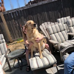 Meet your Posher, Maria